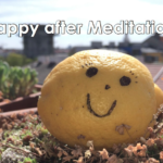Meditationskurs Wien