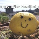 Happy After Meditation Wien